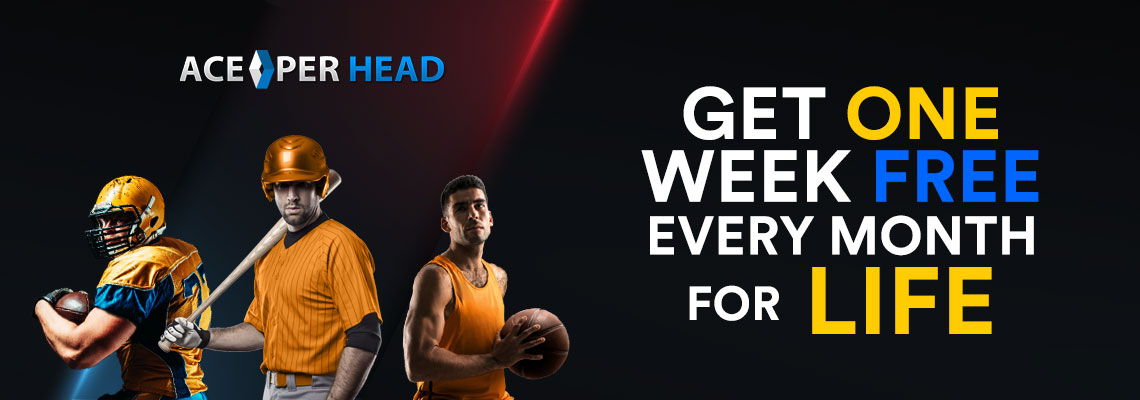 Pay Per Head Bookie Software